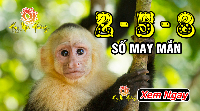 sinh năm 1992 nhâm thân hợp với số nào