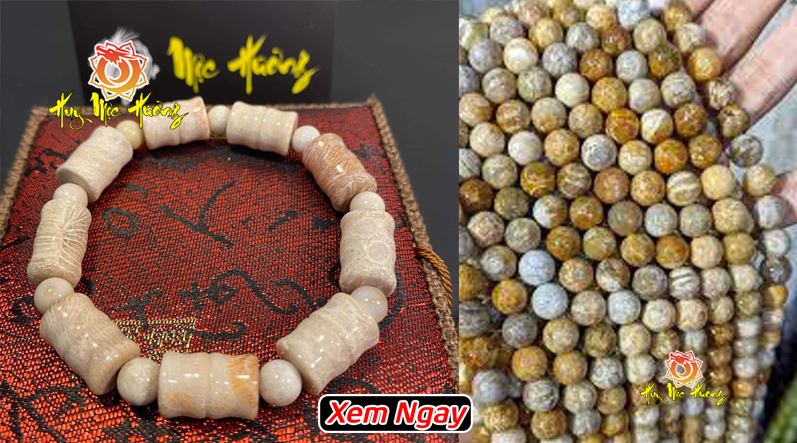 Vòng tay san hô hóa thạch đốt trúc và hạt tròn