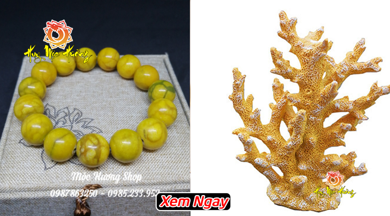 Vòng tay san hô vàng tự nhiên giá tại xưởng