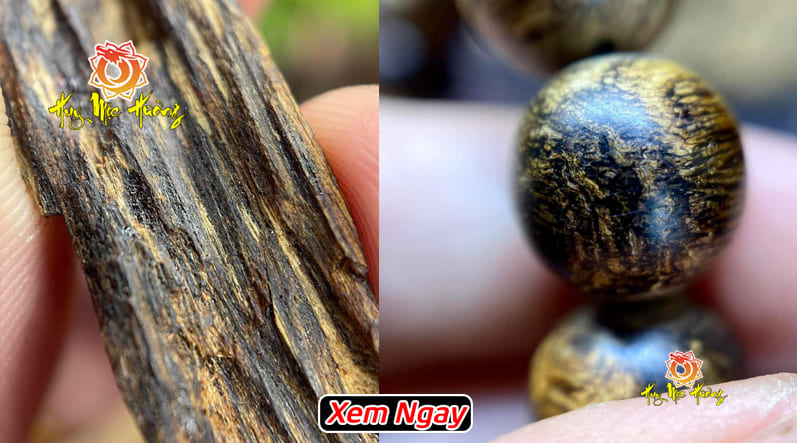 Kỳ nam là gì? phân biệt với trầm hương