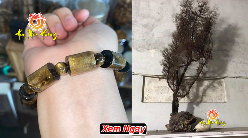 Vòng tay san hô vàng kim giá tại xưởng