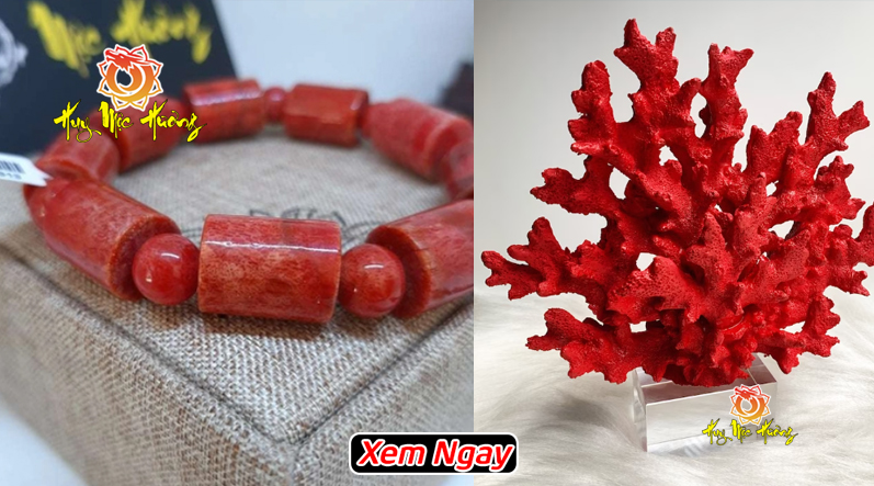 Vòng san hô đỏ có công dụng gì?