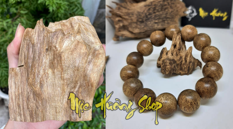 Gỗ trầm hương tốc banh núi rừng