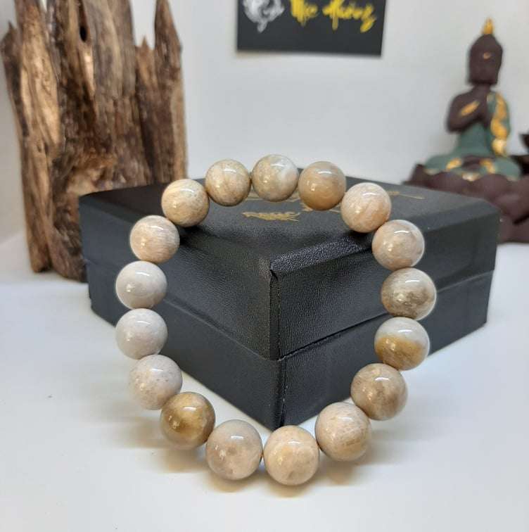 Vòng San Hô Hóa Thạch Tự Nhiên 12mm