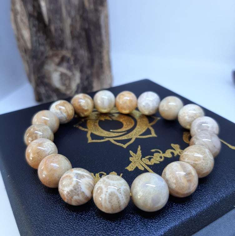 Vòng San Hô Hoá Thạch Tự Nhiên Vip 10mm