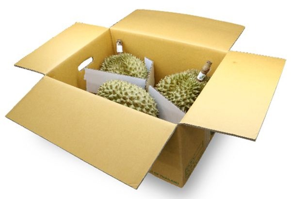 Khám phá về quy cách đóng gói sầu riêng xuất khẩu đạt chuẩn