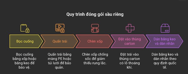 Chi tiết các bước trong quy cách đóng gói sầu riêng đạt chuẩn