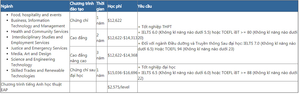 chương trình học tại Durham College Canada