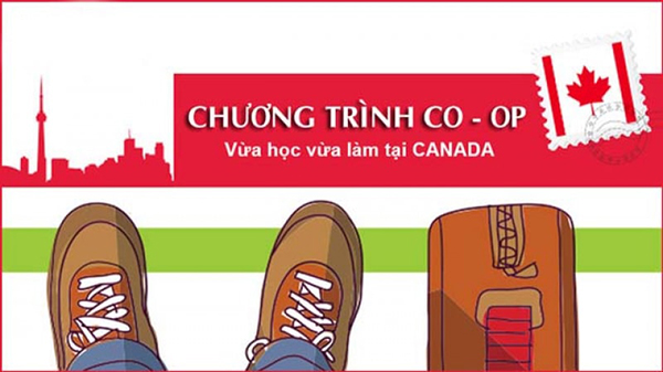 Chương trình Co-op tại Canada mang lại lợi ích gì?