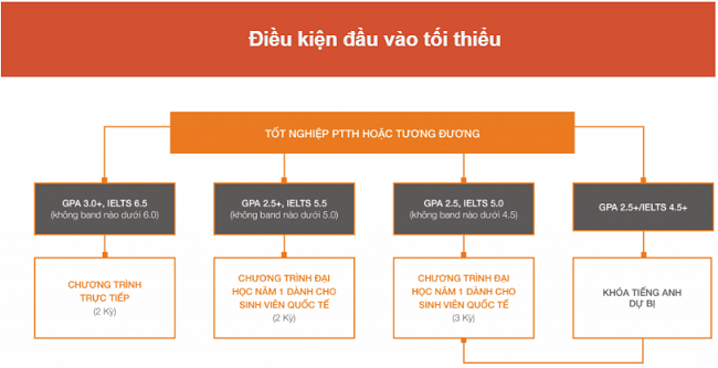 Học bổng du học Mỹ 2019 - 2020