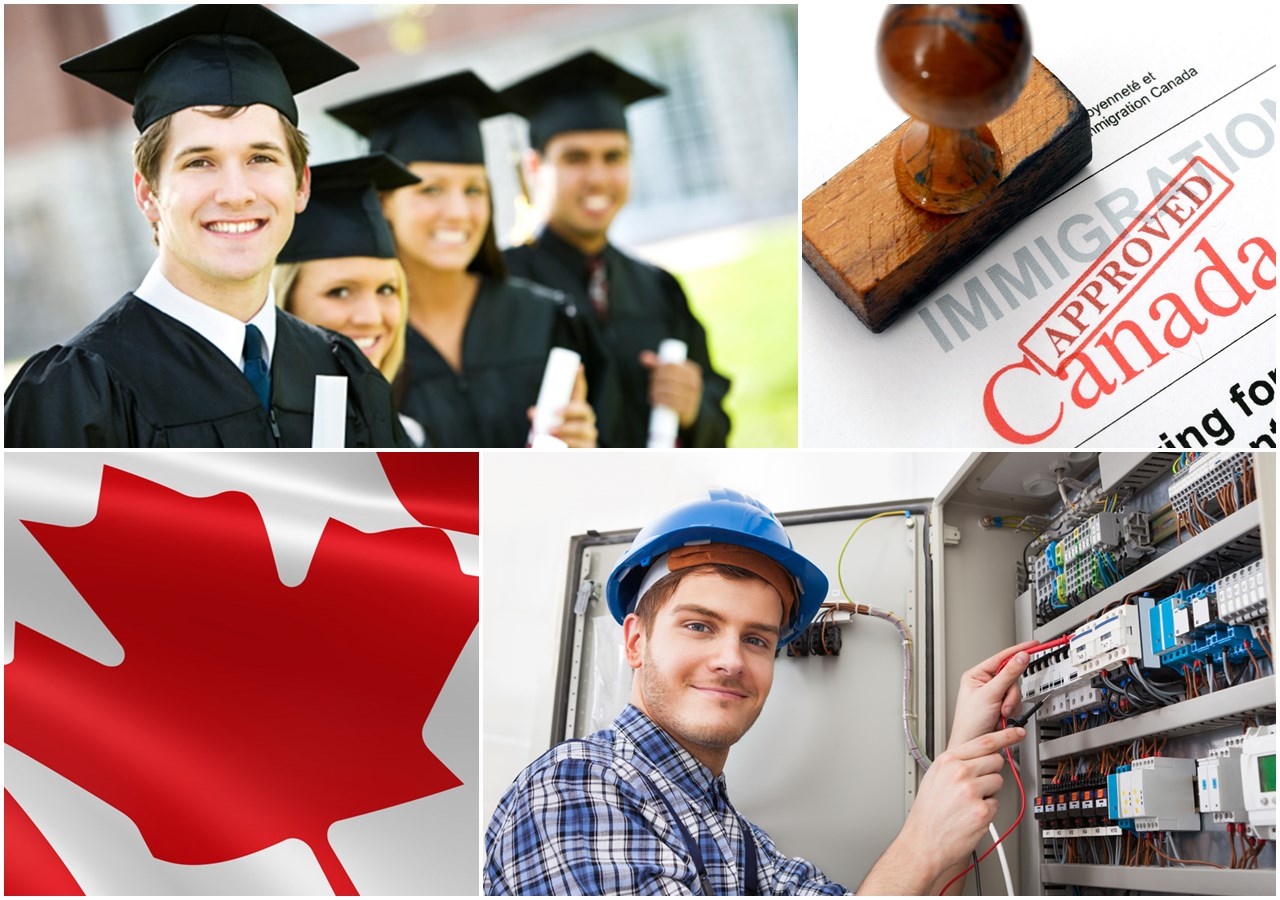 Du học Canada nên chọn ngành gì?