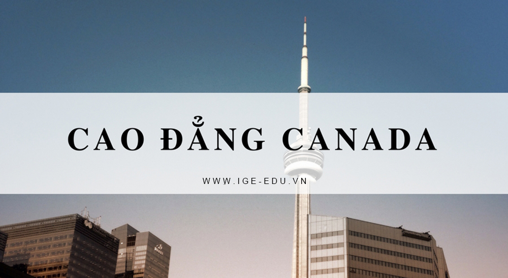 du hoc cao dang canada
