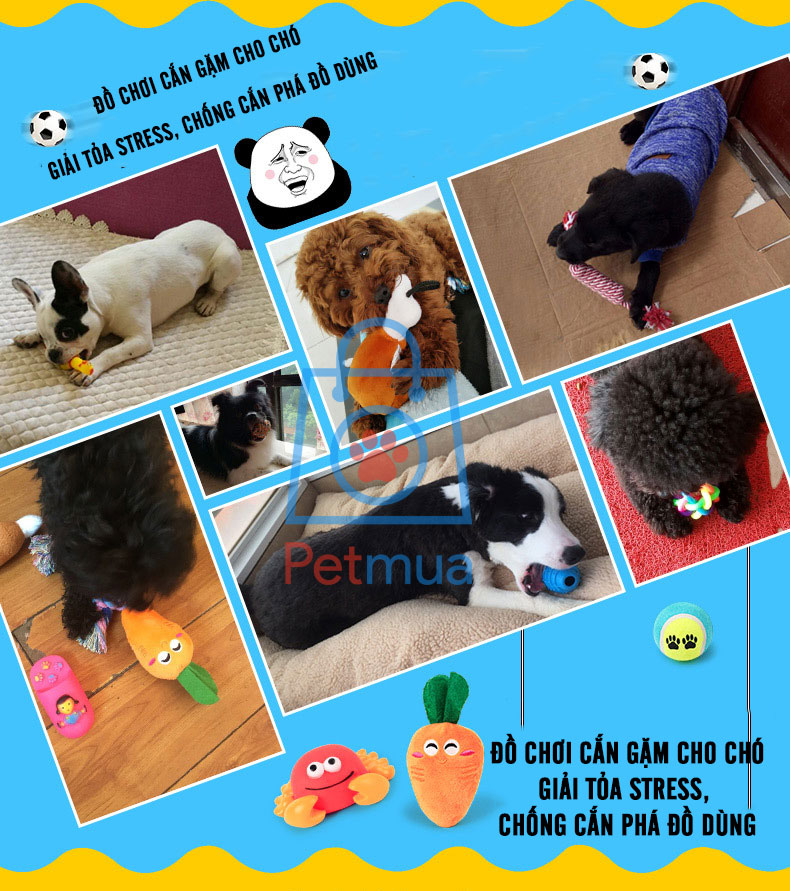 Đồ chơi cắn gặm cho chó