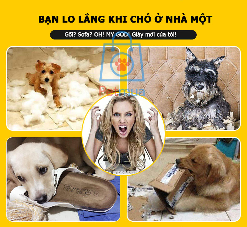 Đồ chơi cắn gặm cho chó