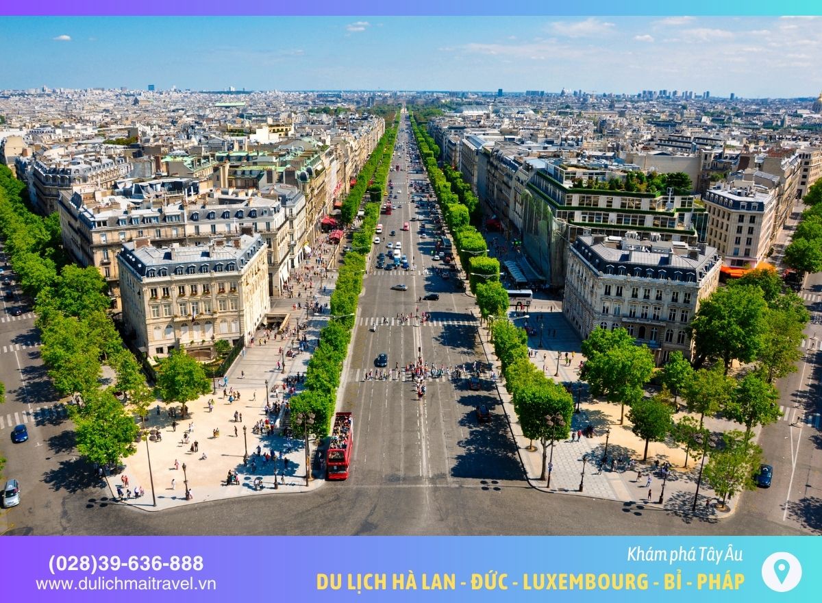 dai-lo-champs-elysees
