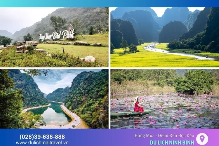 Thung Nham, Tam Cốc - Bích Động, Tràng An, Thung Nắng, Am Tiên là những điểm du lịch gần Hang Múa