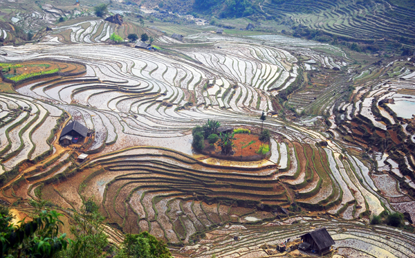 ruong-bac-thang-sang-ma-sao-tour-mien-bac-hcm