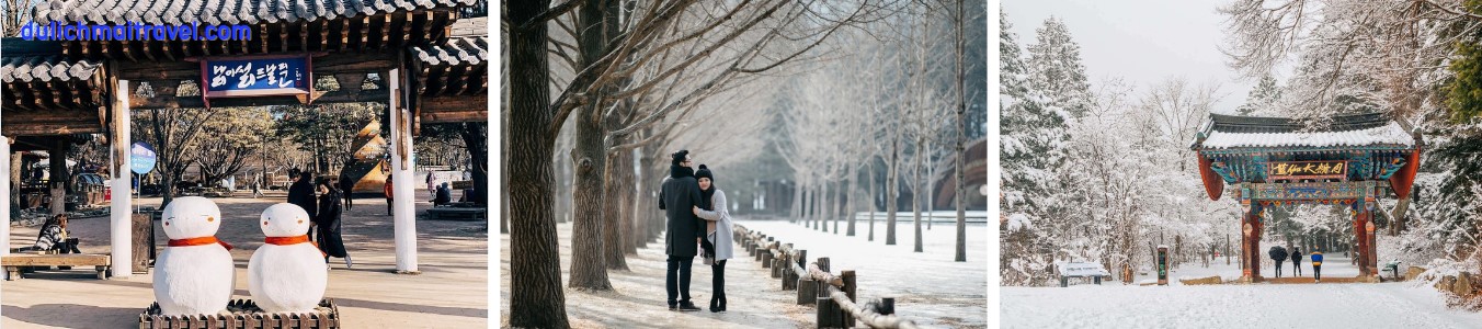 Tour Hàn Quốc 5 ngày đón Noel