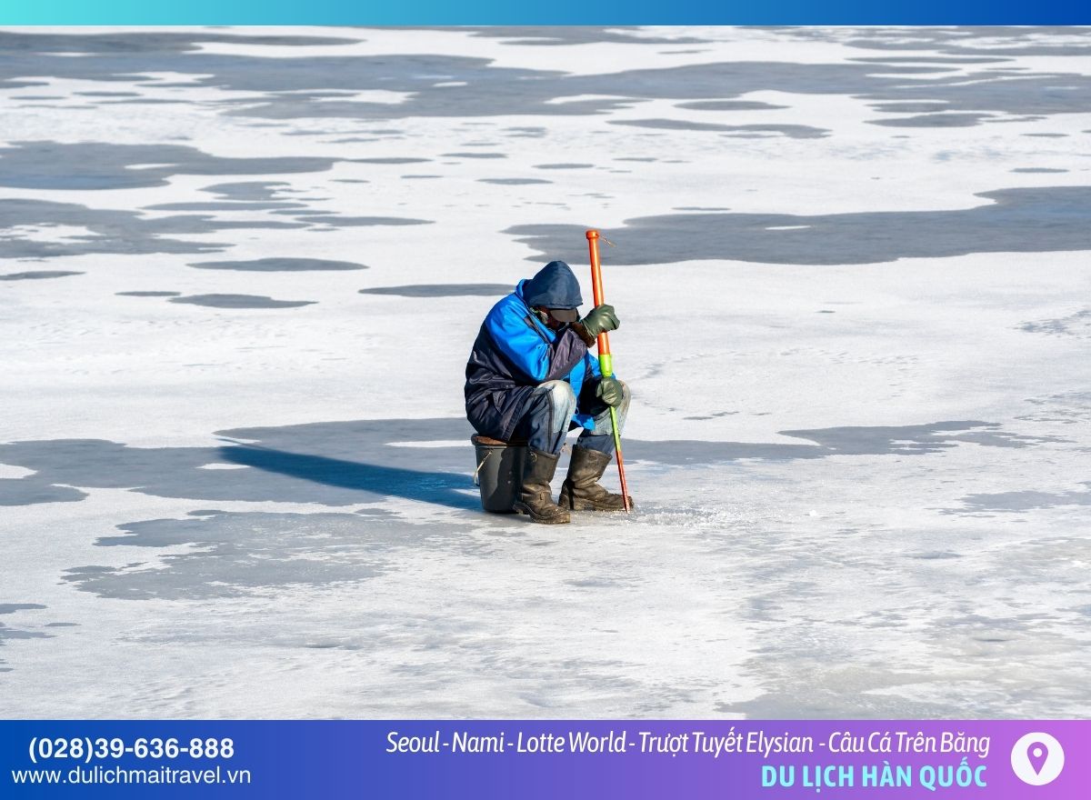 câu cá trên băng- hàn quốc