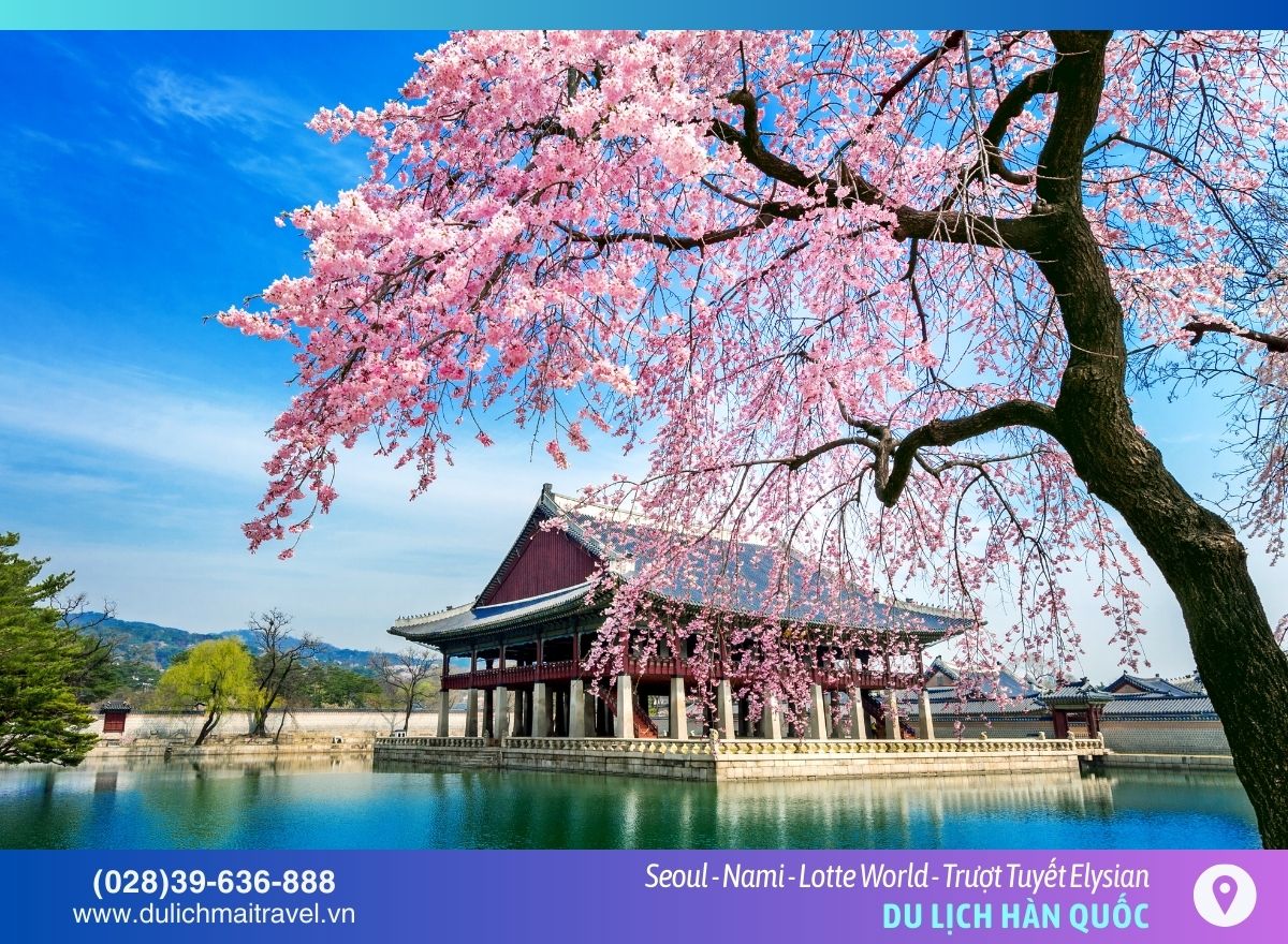 Cảnh Phúc Cung - Seoul