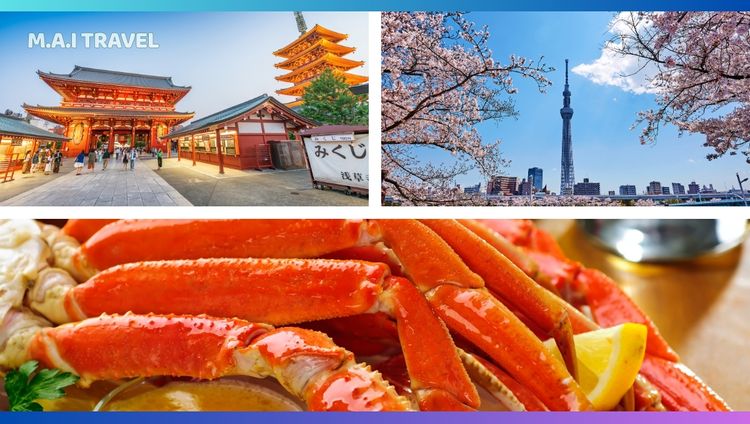 Tour Nhật Bản Tết âm lịch