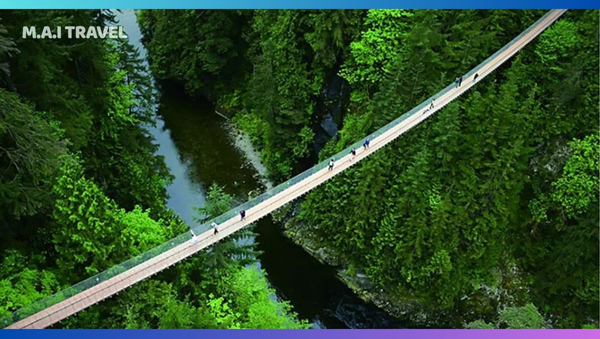 Tour Canada Mùng 2 Tết 2025
