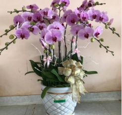 shop-ban-hoa-giao-tan-nha-o-duong-truong-dinh-ben-tre