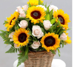 dia-chi-ban-hoa-giao-hoa-toc-30-phut-goi-ngay-0949856519