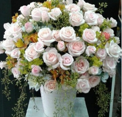 shop-hoa-duong-dao-duy-tu-tam-ky-noi-den-ly-tuong-cua-quy-khach