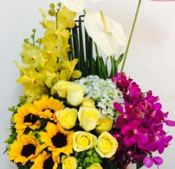 shop-hoa-tuoi-phuong-chanh-nghia-thu-dau-mot-binh-duong-diem-den-cho-tat-ca