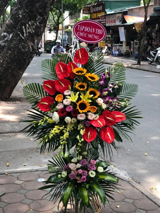 dat-hoa-khai-truong-o-ha-noi-giao-tan-dia-chi
