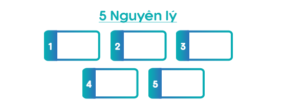 5 Nguyên lý