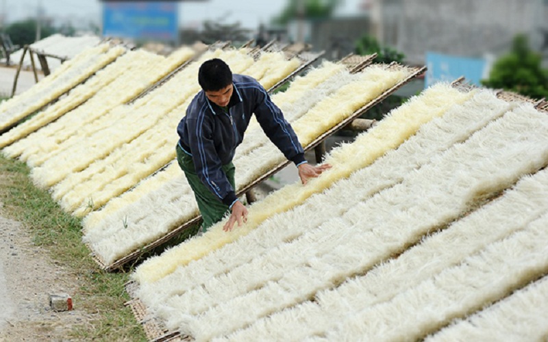 Cách phân loại các loại miến thường gặp