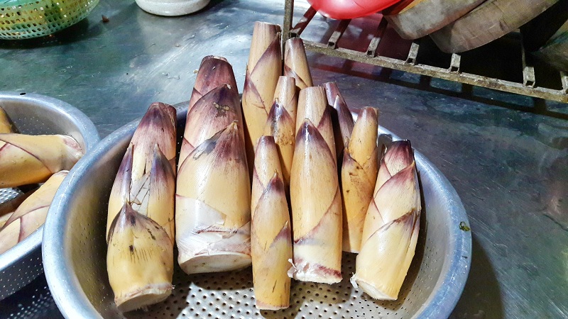 Đặc sản miền bắc măng Vầu Bắc Kạn