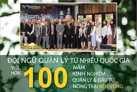 Đầu Tư Trầm Hương - Được Mệnh Danh Là VÀNG LỎNG Vô Cùng Quý Gía.