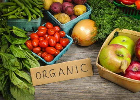 Để sản phẩm Organic và người tiêu dùng thông thái gặp nhau