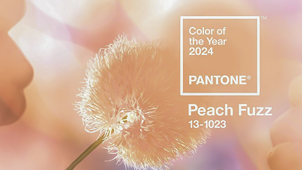 màu pantone 2025 trong nội thất