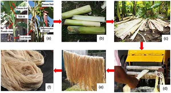 Vải sợi tự nhiên- Rèm cửa AH