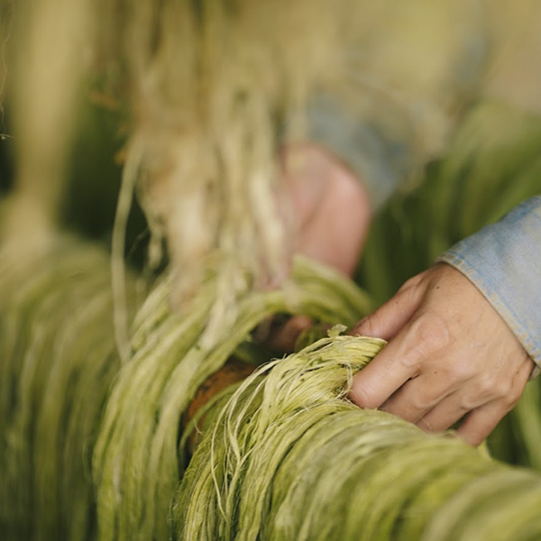 Vải sợi tự nhiên- Rèm cửa AH