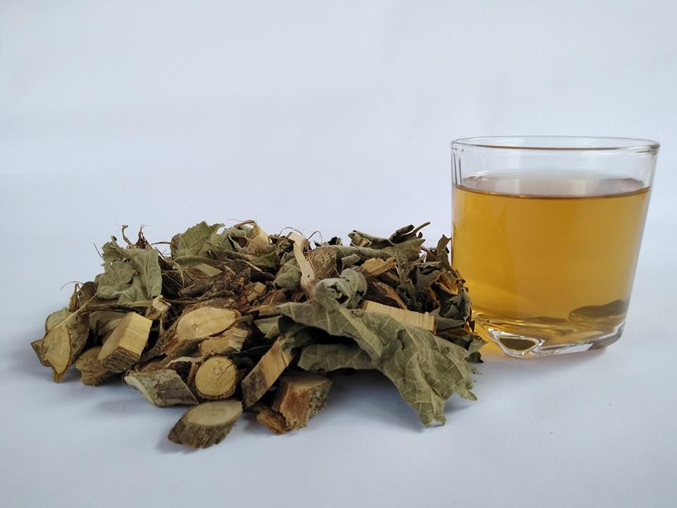 cay-an-xoa-o-binh-phuoc