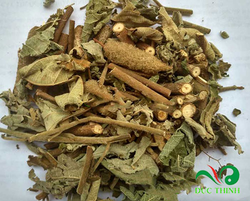 tra-an-xoa-va-nuoc-sac-tu-cay-an-xoa-loai-nao-hieu-qua-hon