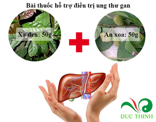 danh-bai-ung-thu-gan-nho-cay-an-xoa