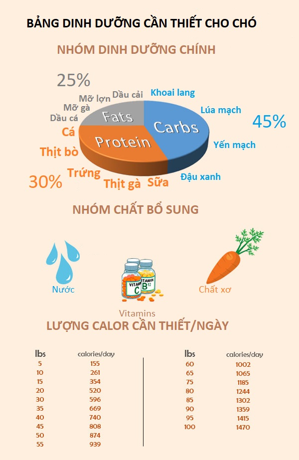 Bảng dinh dưỡng thiết yếu