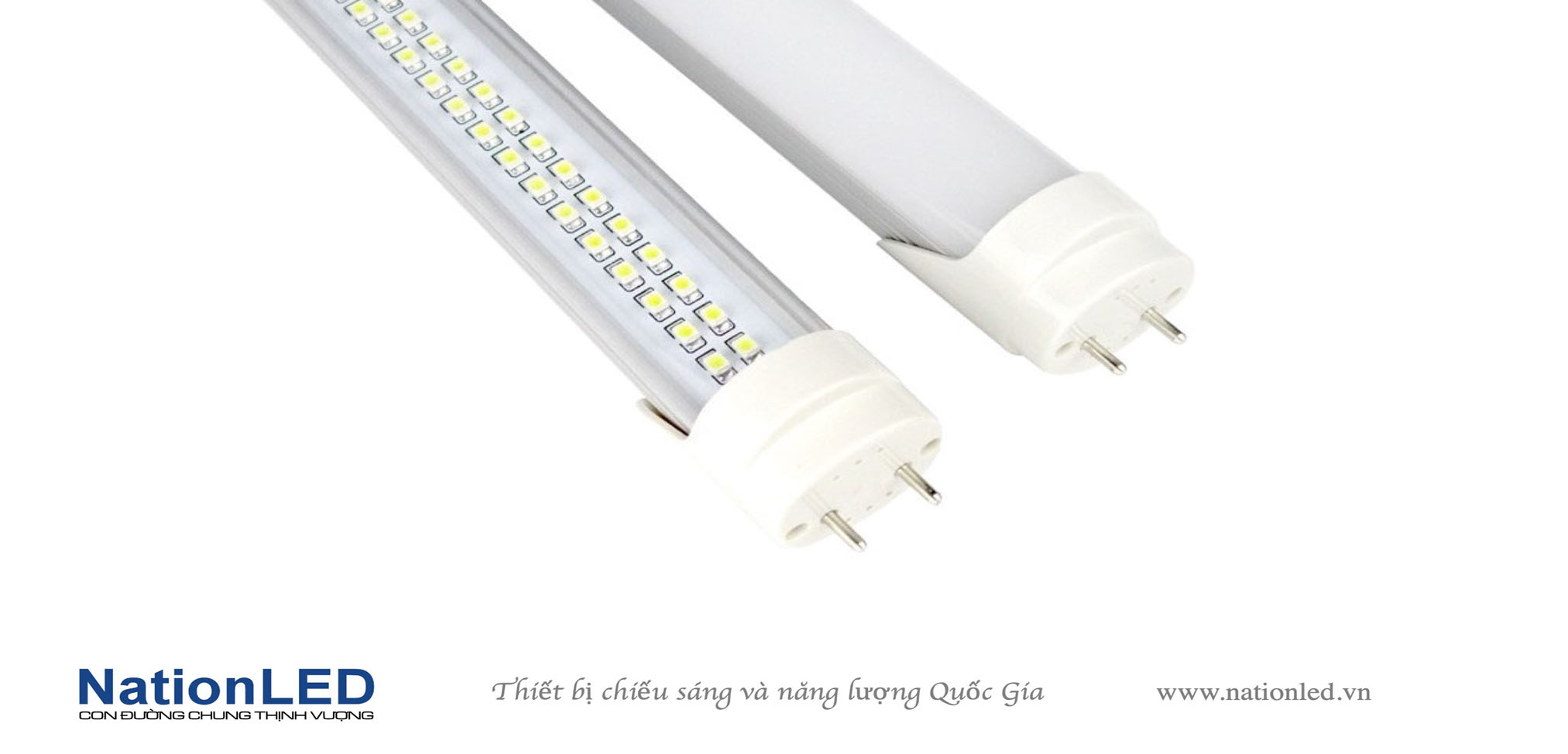 ĐÈN TUÝP LED T8 ECONOMY – Giải pháp Chiếu sáng Dân dụng & Công nghiệp