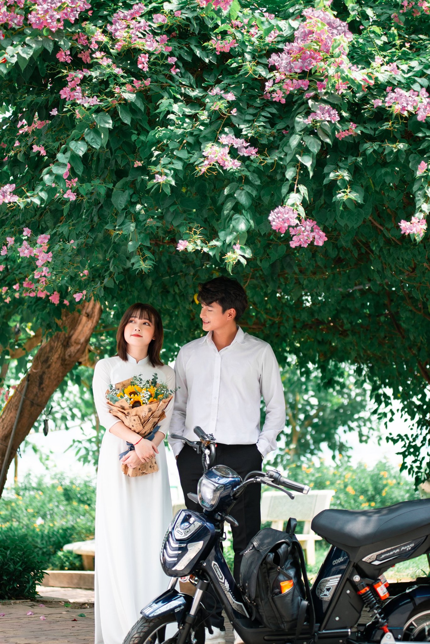 Xe đạp điện Sharkking