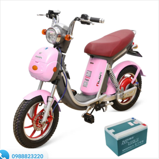 ắc quy xe đạp điện Nijia