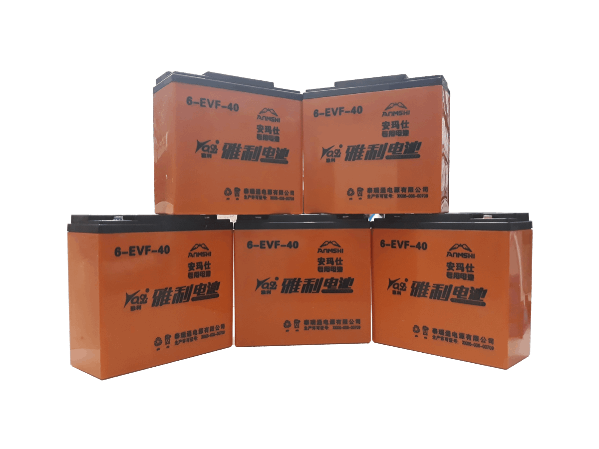 bình ắc quy Anmshi được cửa hàng xe điện Lan Anh tin dùng