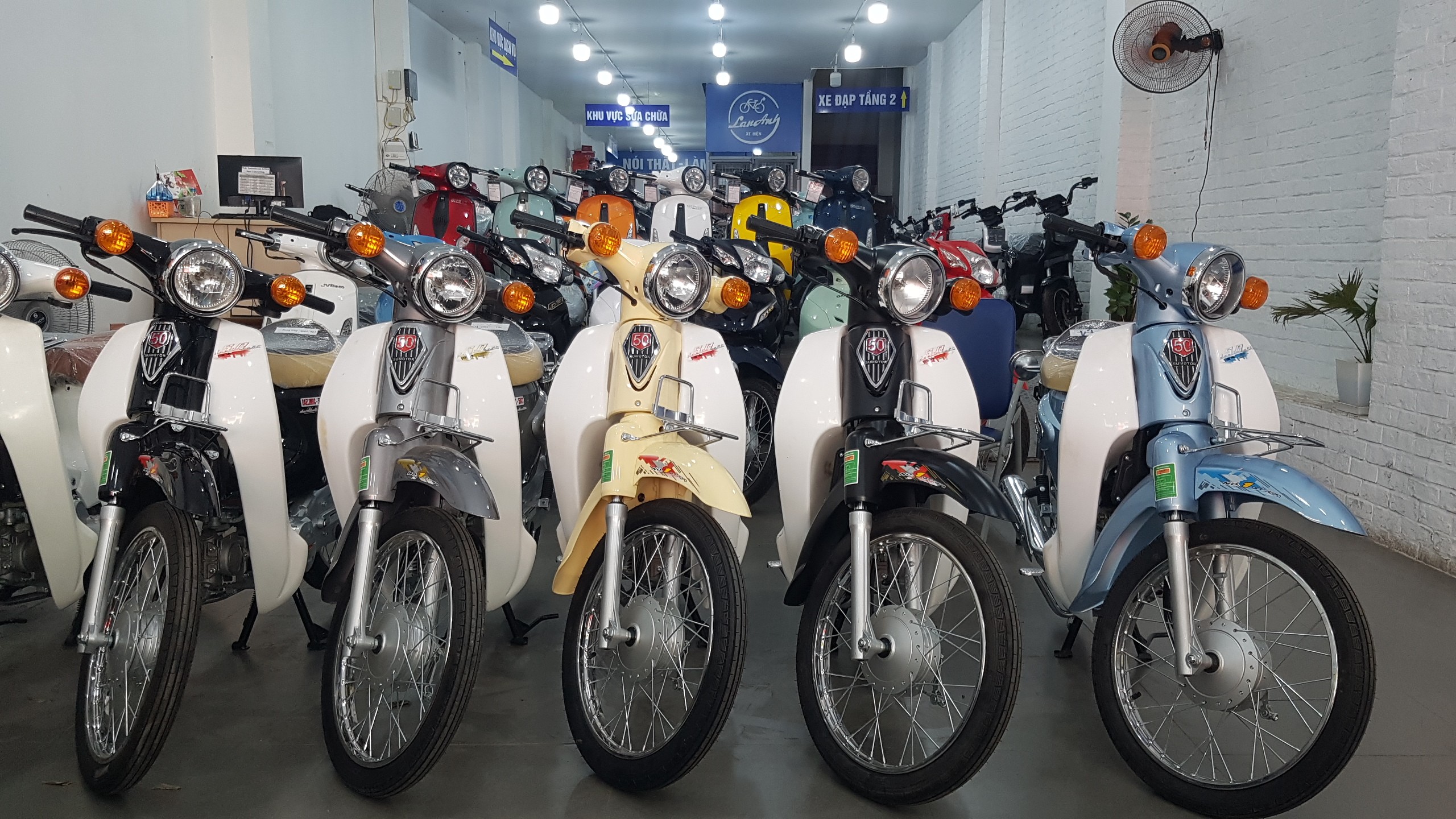 Đa dạng phong cách của cub 50 Sumotor