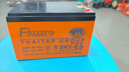 Thương hiệu ắc quy xe đạp điện sky-e