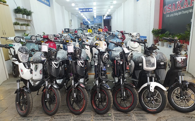 xe đạp điện có bàn đạp